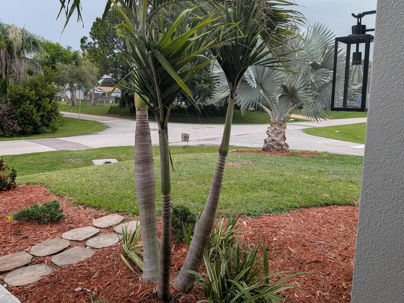 261 MIDVALE Terrace, Sebastian, FL 32958 photo 5