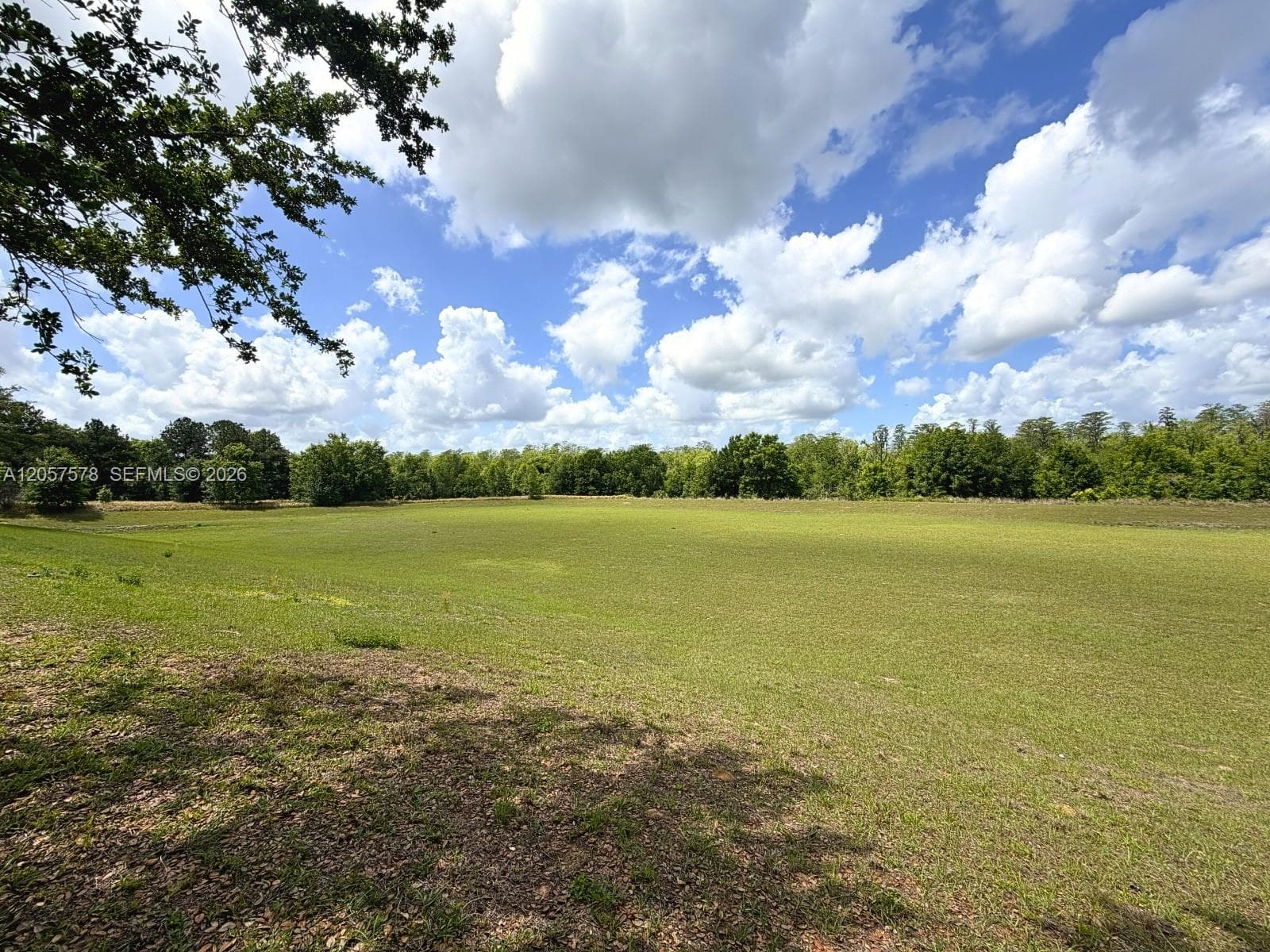 233 Aldridge Ln, Davenport, FL 33897 photo 2
