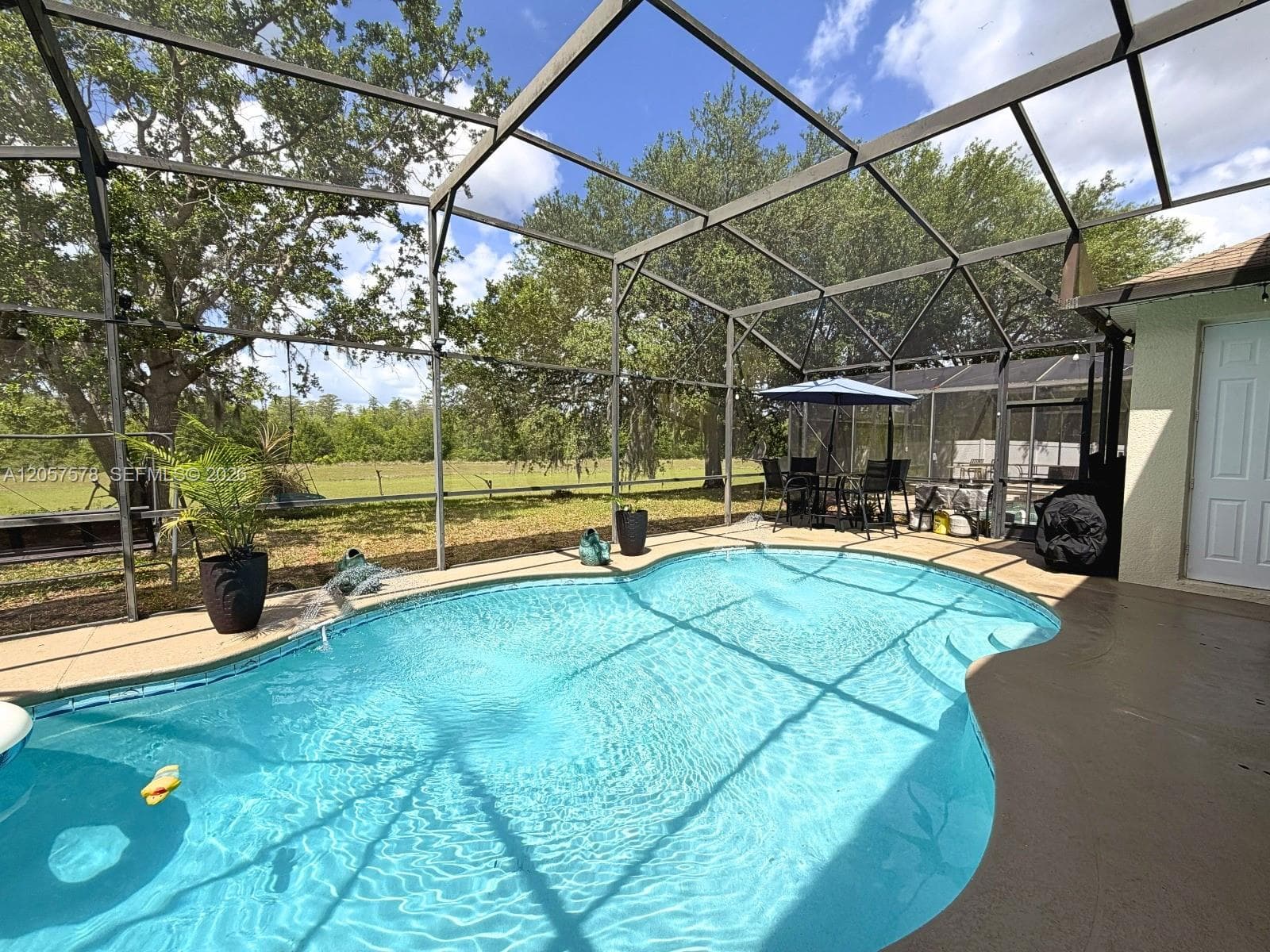 233 Aldridge Ln, Davenport, FL 33897 photo 5