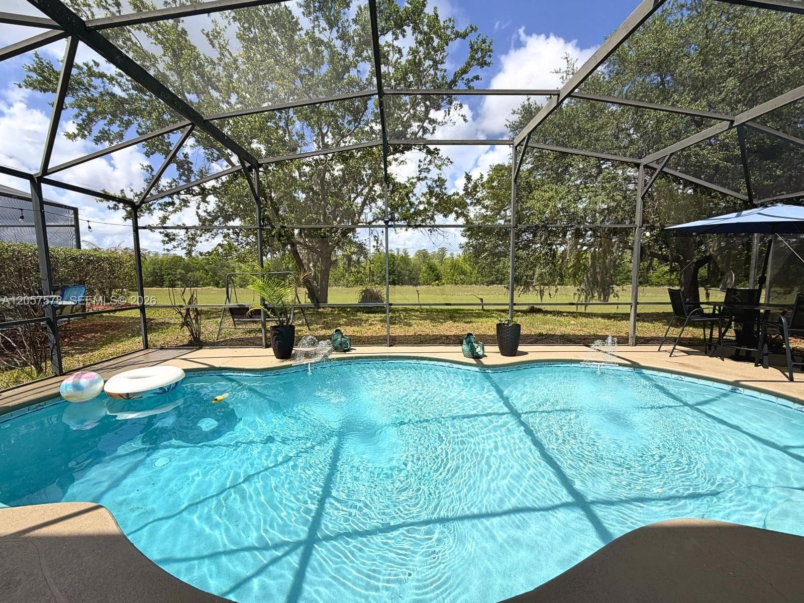 233 Aldridge Ln, Davenport, FL 33897 photo 4