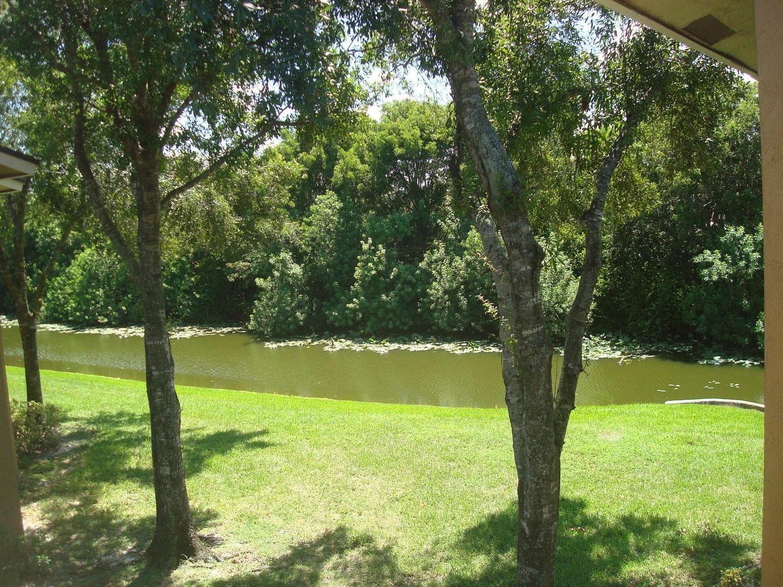 1141 LAKE VICTORIA Drive # H, West Palm Beach, FL 33411 photo 5