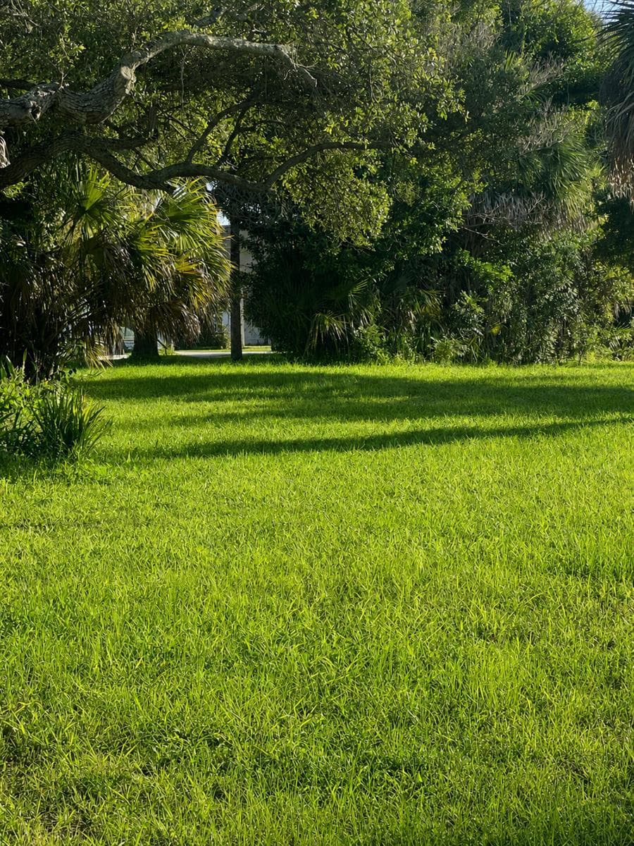 1026 Indian River Drive, Sebastian, FL 32958 photo 3