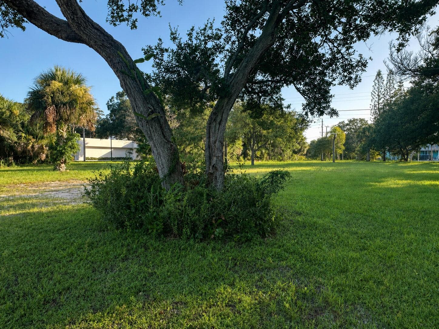 1026 Indian River Drive, Sebastian, FL 32958 photo 5