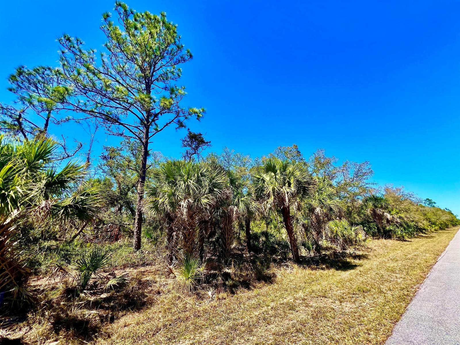 441 Juper Street, Port Charlotte, FL 33953 photo 2