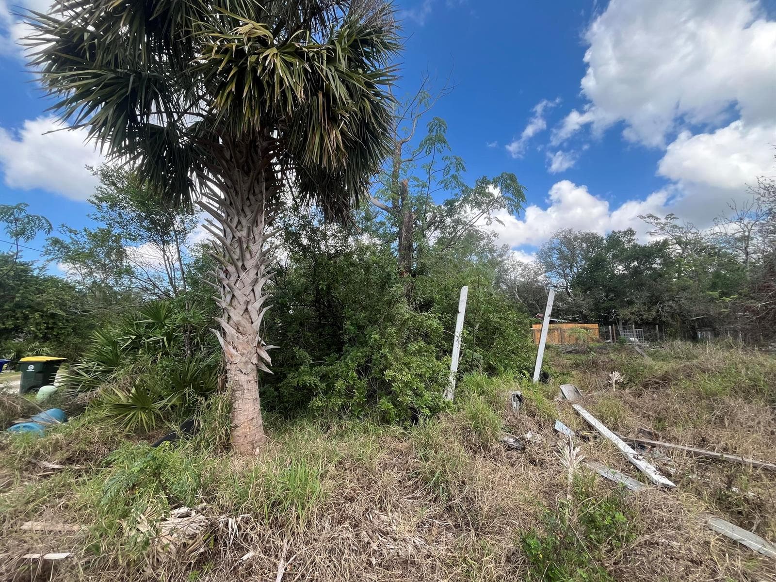 3608 Smithtown Road, Sebring, FL 33876 photo 2