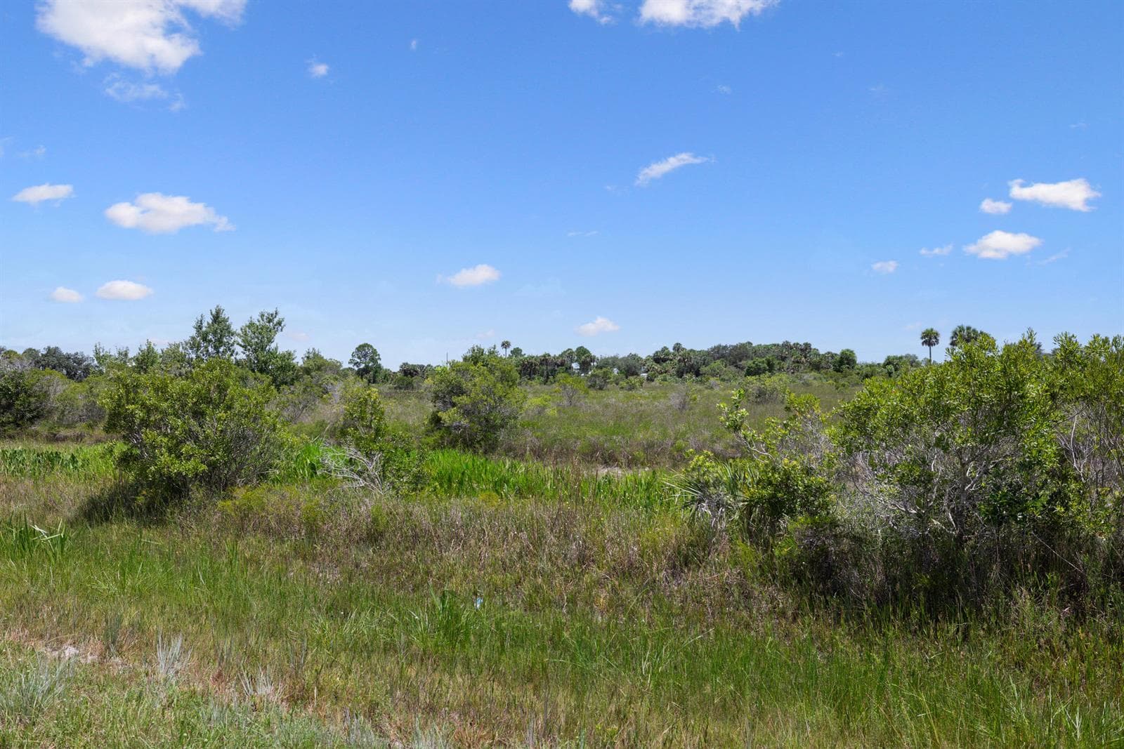 14932 NW 280TH Street, Okeechobee, FL 34972 photo 2
