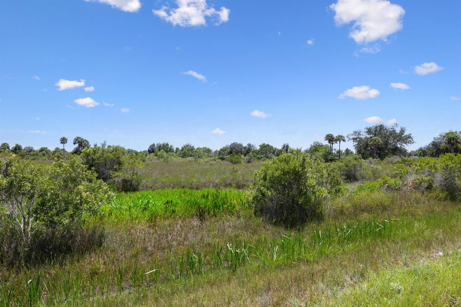 14932 NW 280TH Street, Okeechobee, FL 34972 photo 5