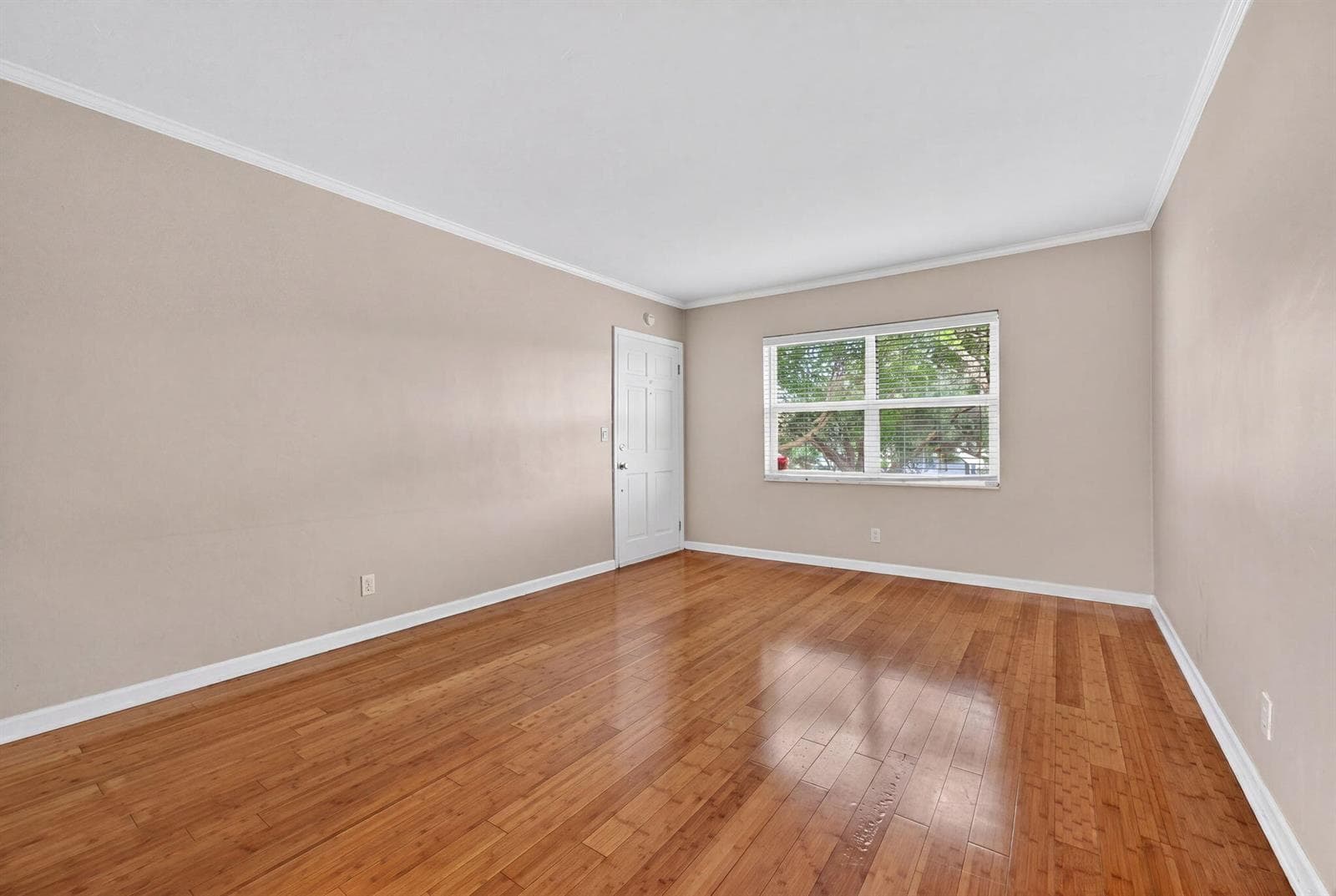 715 NE 91ST Street # 3A, Miami Shores, FL 33138 photo 5