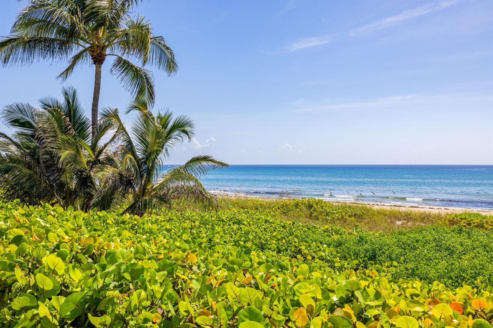 2565 S Ocean Boulevard # 103N, Highland Beach, FL 33487 photo 3