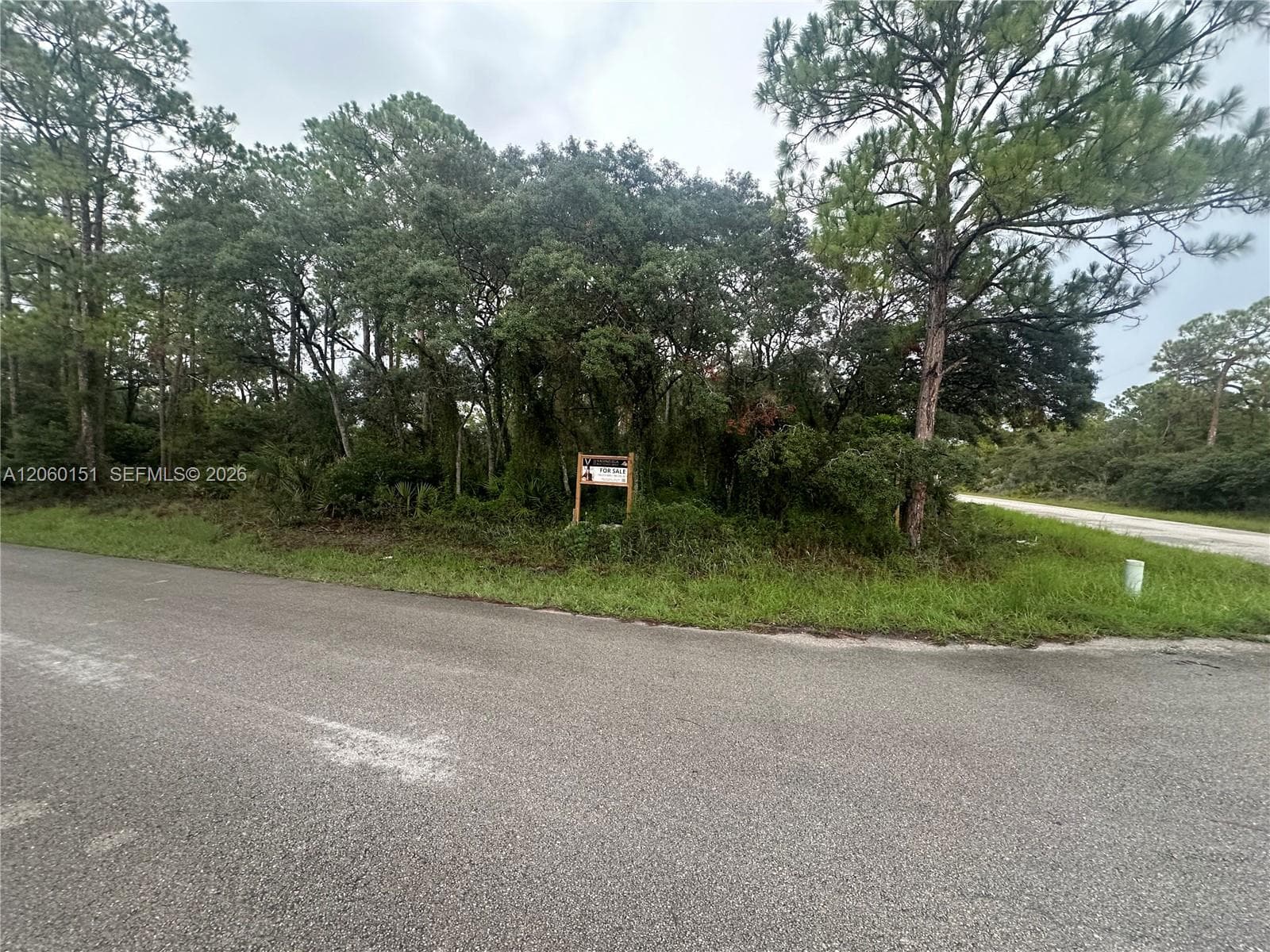 3362 Gossamer Ave, Lake Placid, FL 33852 photo 3