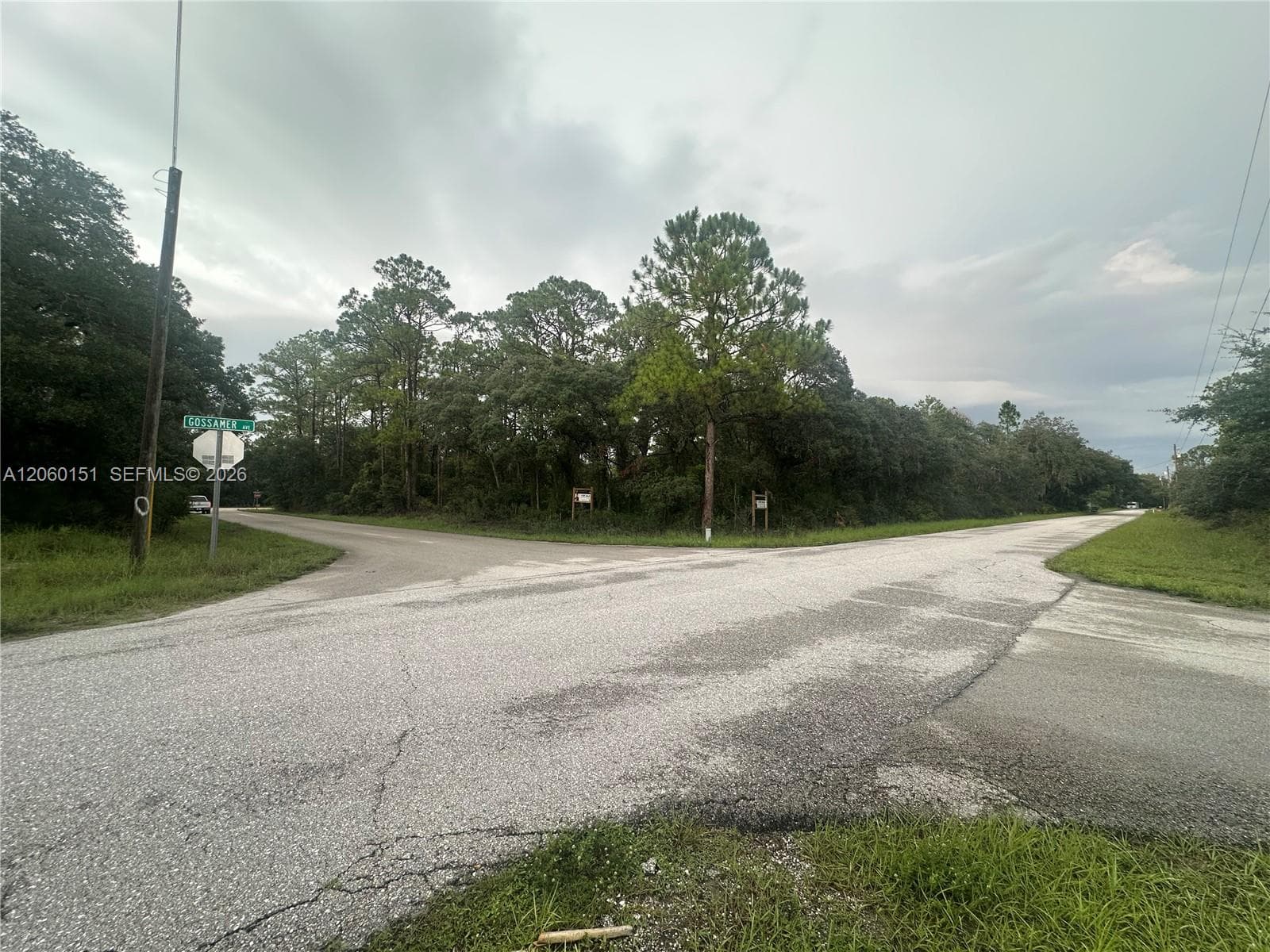 3362 Gossamer Ave, Lake Placid, FL 33852 photo 5