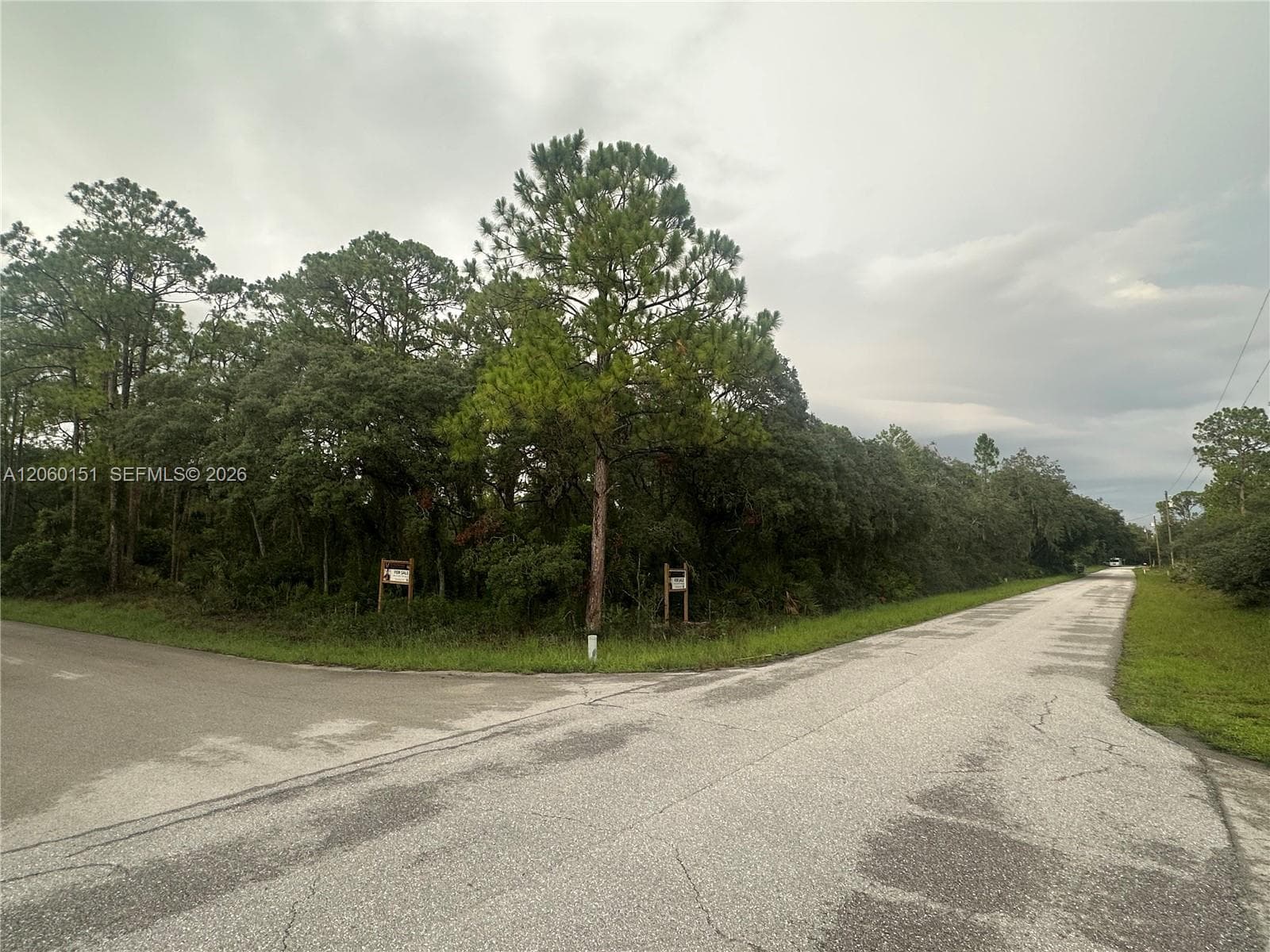3362 Gossamer Ave, Lake Placid, FL 33852 photo 4
