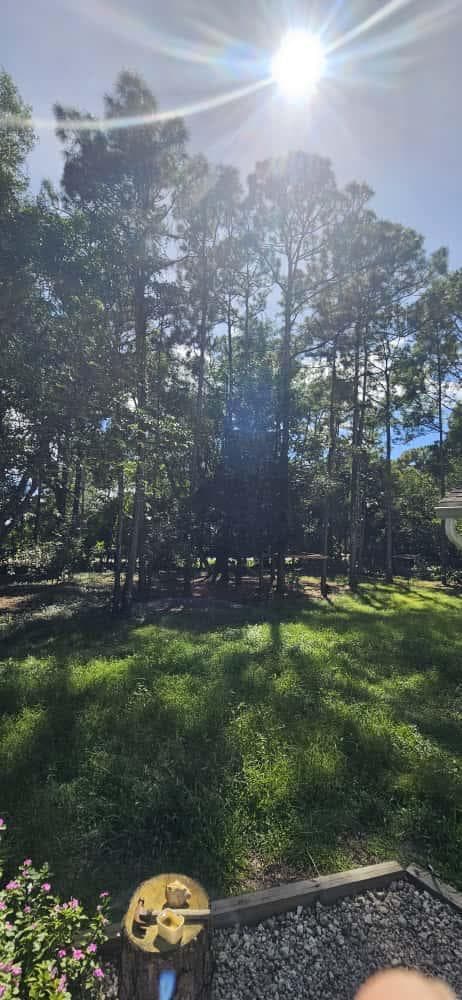 15941 MELLEN Lane, FL 33478 photo 2