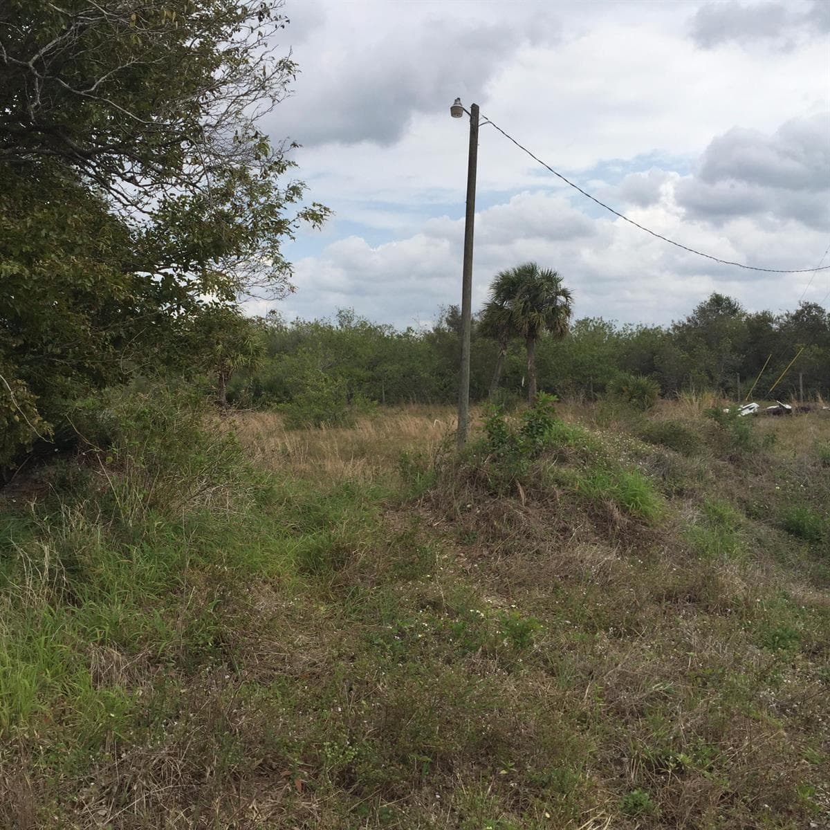 20636 LOUISE Street, Loxahatchee, FL 33470 photo 3