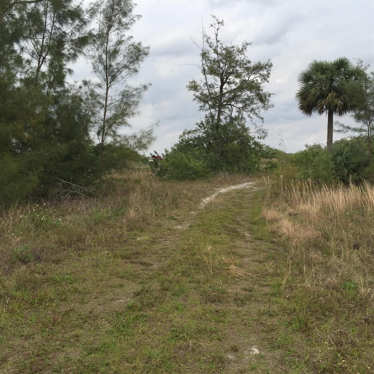 20636 LOUISE Street, Loxahatchee, FL 33470 photo 4