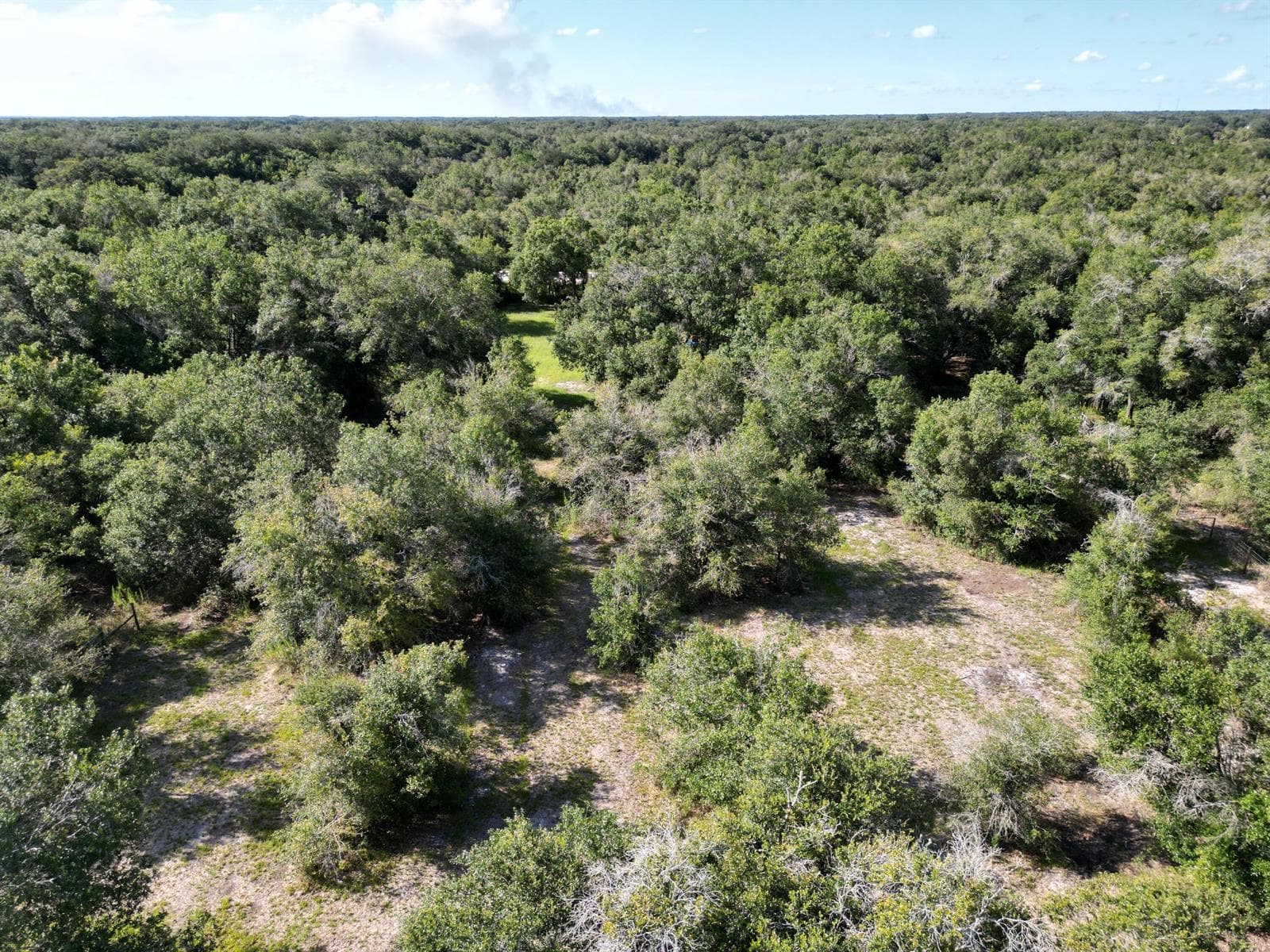 21496 NW 256TH Street, Okeechobee, FL 34972 photo 5