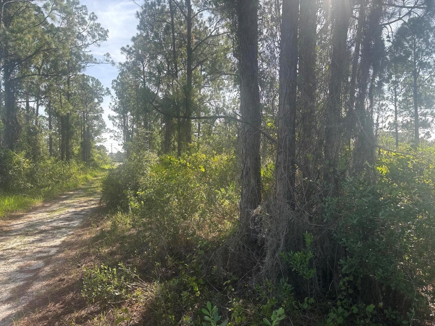 1021 Granger Street, Lake Placid, FL 33852 photo 3