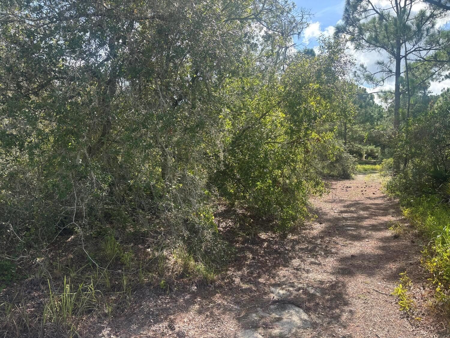 336 Stardust Avenue, Lake Placid, FL 33852