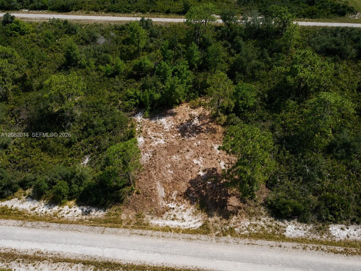 3554 MARIANA AVE, Lake Placid, FL 33852 photo 2