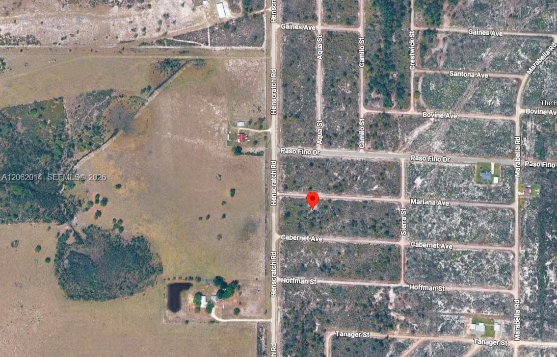 3554 MARIANA AVE, Lake Placid, FL 33852 photo 5