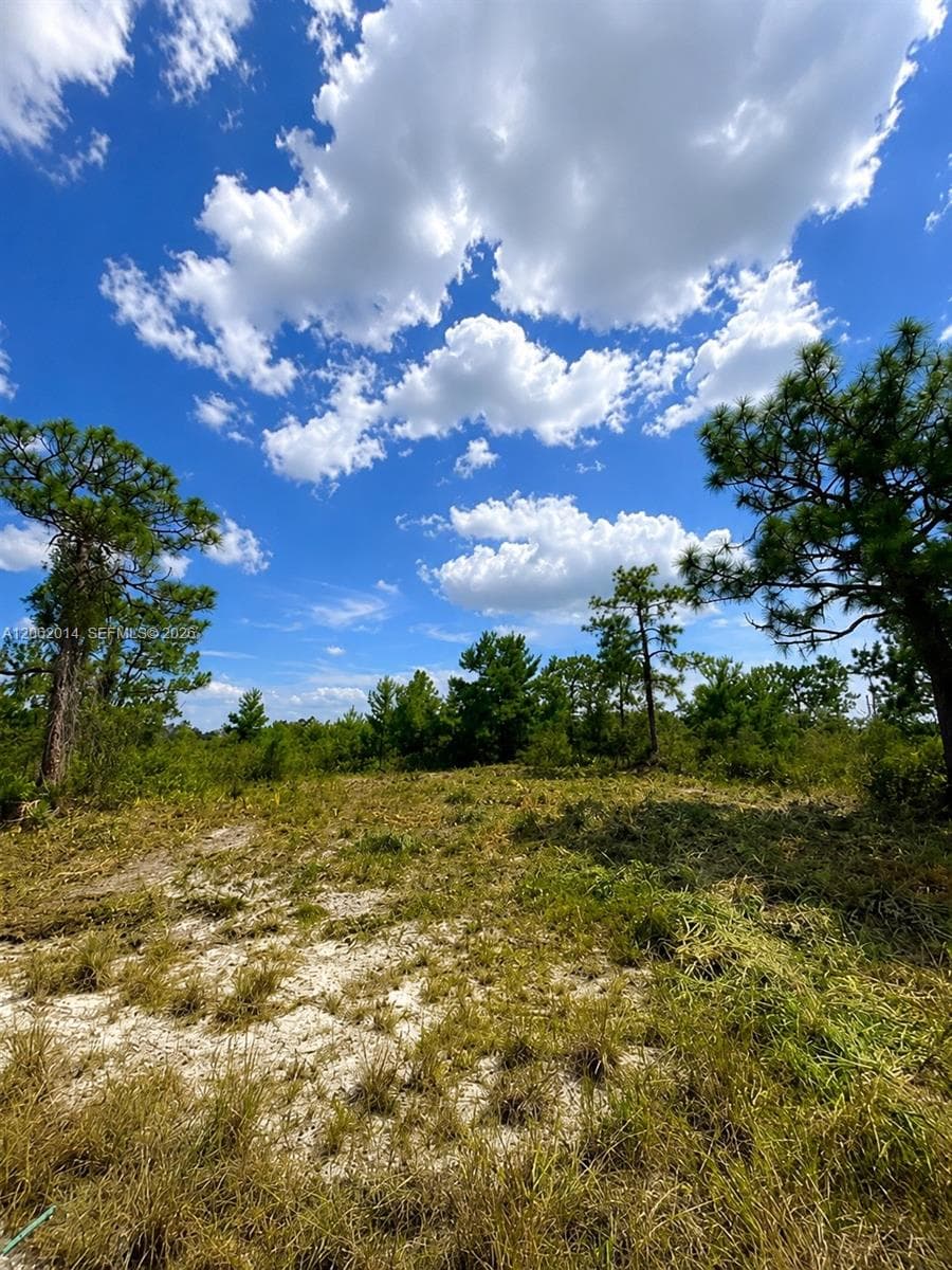 3554 MARIANA AVE, Lake Placid, FL 33852 photo 4