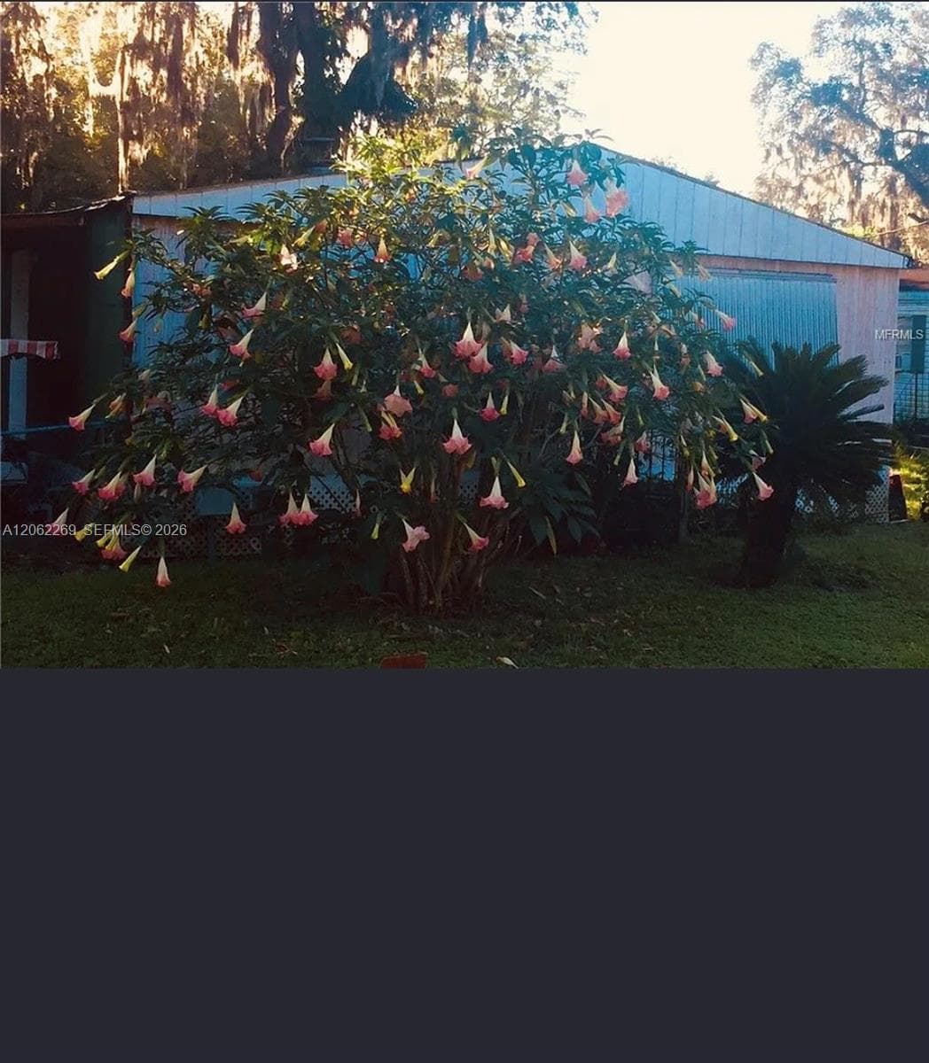 5904 S HARVEY, Riverview, FL 33578 photo 5