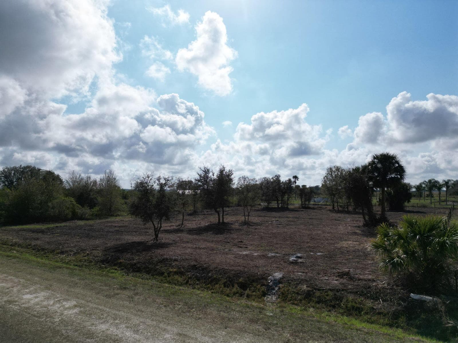 14510 NW 242ND Street, Okeechobee, FL 34972 photo 3