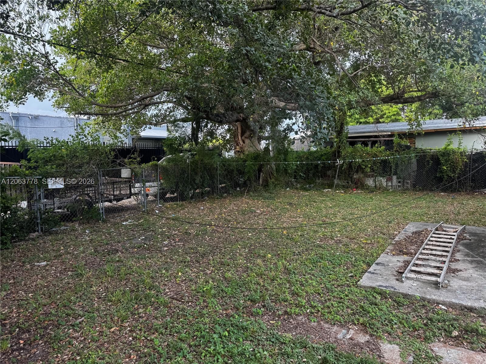 1361 NW 53rd St, Miami, FL 33142 photo 3