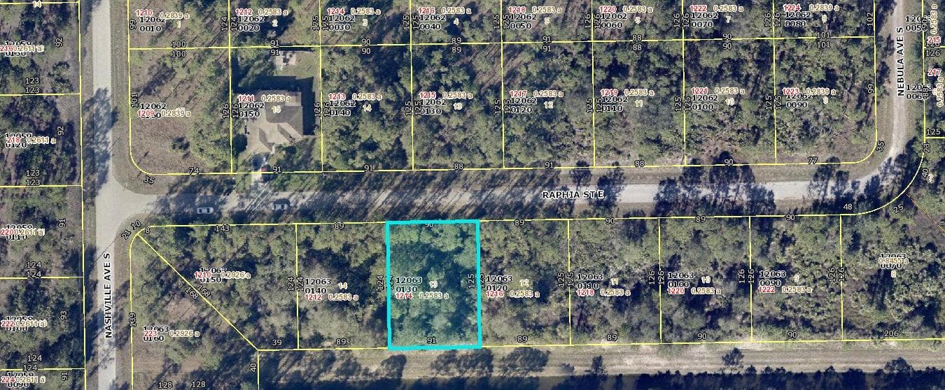 1214 Raphia Street E, Lehigh Acres, FL 33974 photo 3