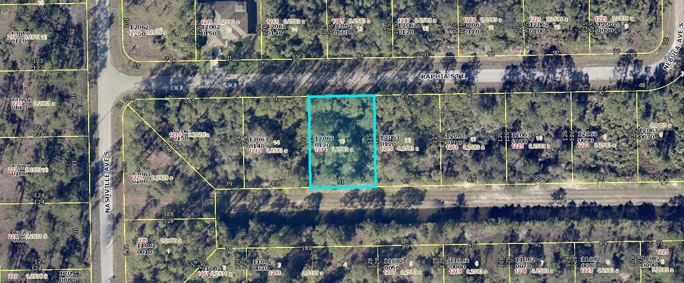 1214 Raphia Street E, Lehigh Acres, FL 33974