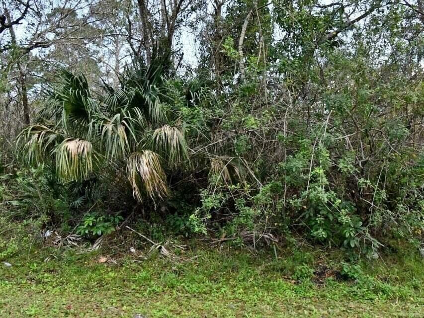 2120 SCOTT Avenue, FL 33920
