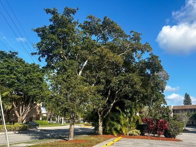10332 SUNRISE LAKES Boulevard # 111, Sunrise, FL 33322
