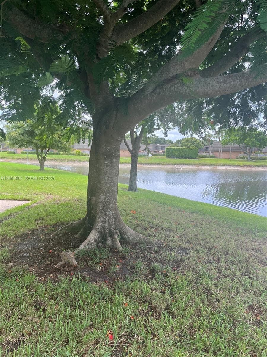 4213 42nd Way, West Palm Beach, FL 33407 photo 3