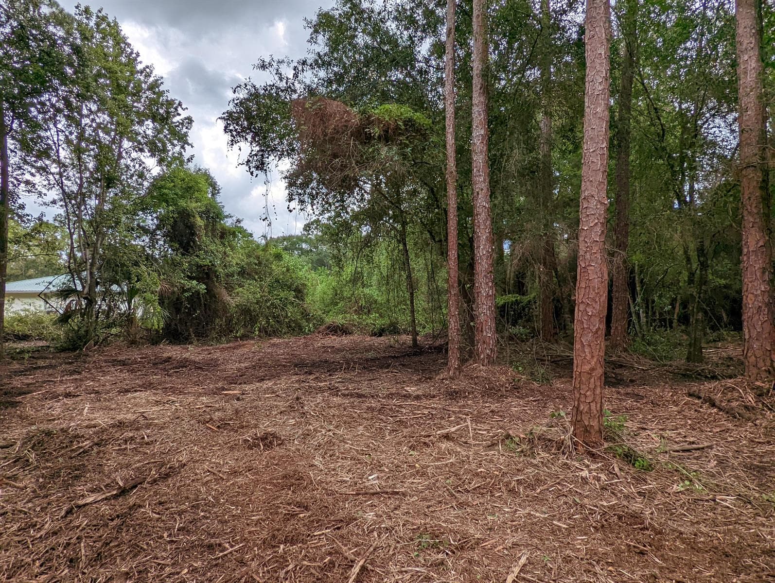 13550 NE 18TH Avenue, Okeechobee, FL 34972 photo 2