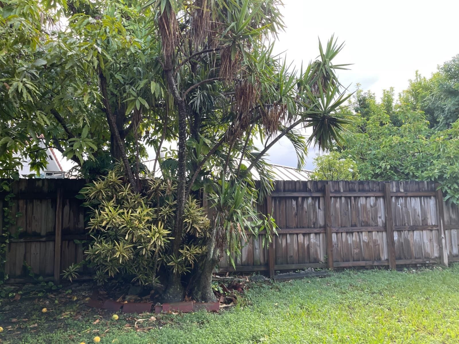 4874 SW 142nd Place, Miami, FL 33175 photo 5
