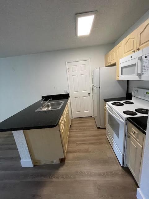 4221 W McNab Road, Pompano Beach, FL 33069 photo 3