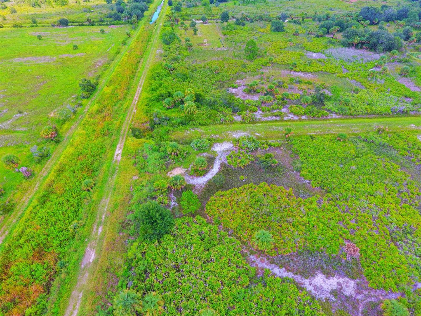 21594 NW 282ND Street, Okeechobee, FL 34972 photo 3