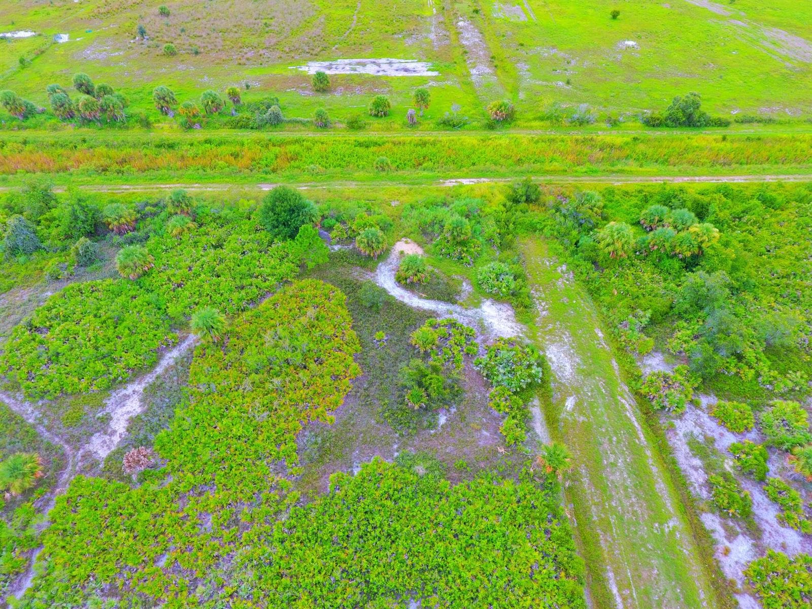 21594 NW 282ND Street, Okeechobee, FL 34972 photo 4