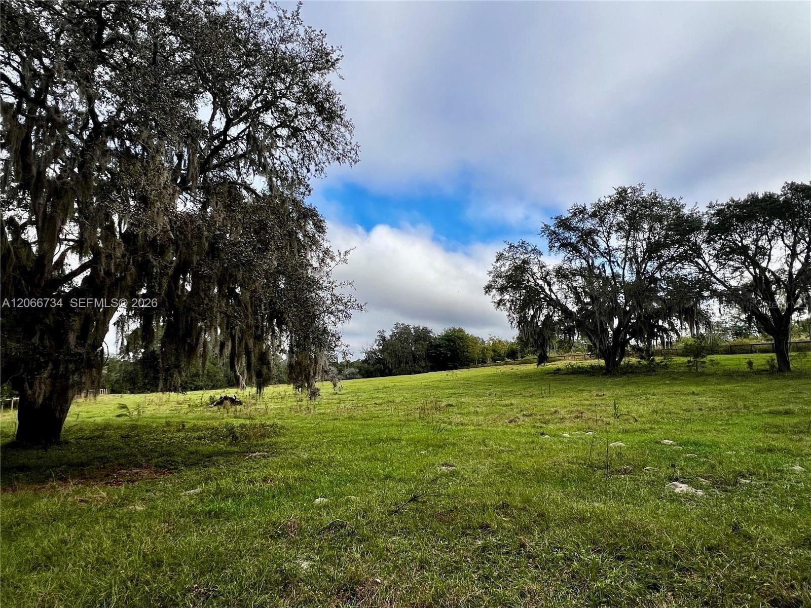 0 LAKE ELLA RD, Other City - In The State Of Florida, FL 34731 photo 2