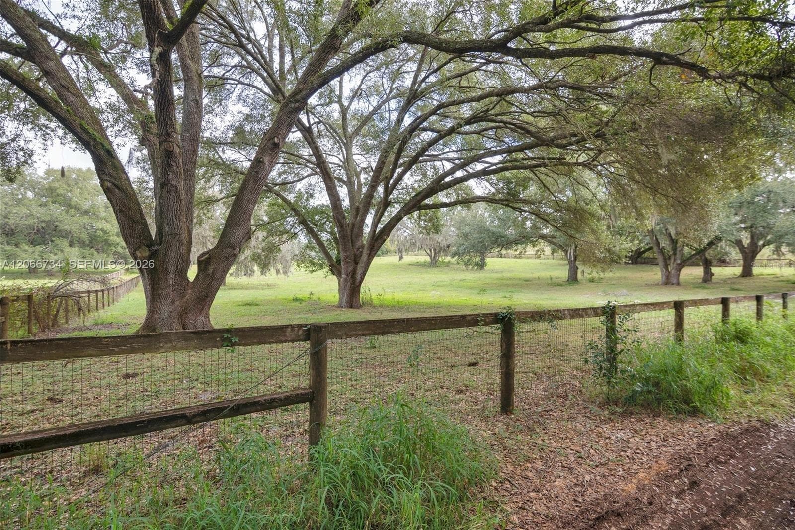 0 LAKE ELLA RD, Other City - In The State Of Florida, FL 34731