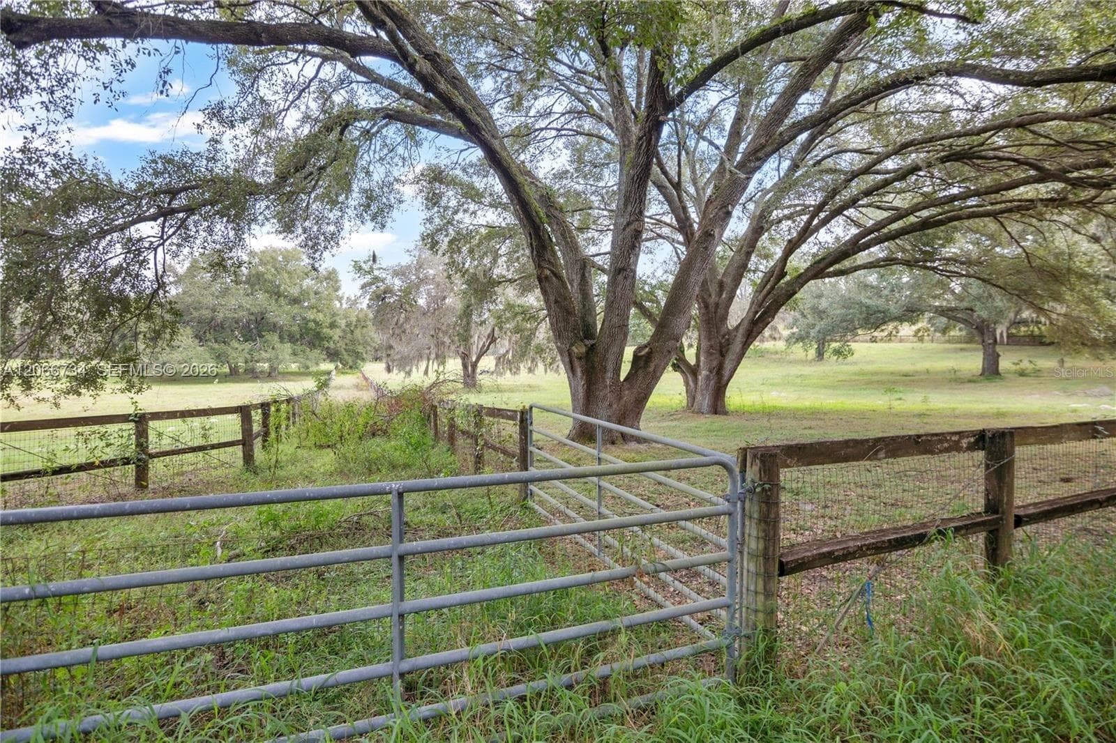 0 LAKE ELLA RD, Other City - In The State Of Florida, FL 34731 photo 5