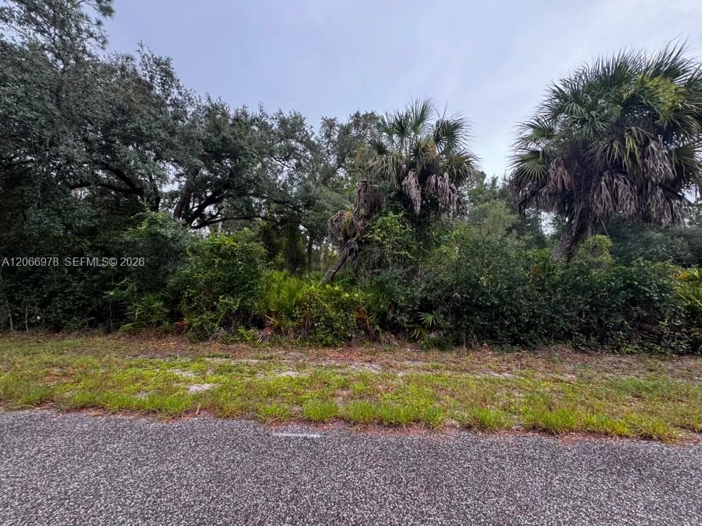 2312 DODGE ST, Port Charlotte, FL 33948 photo 3