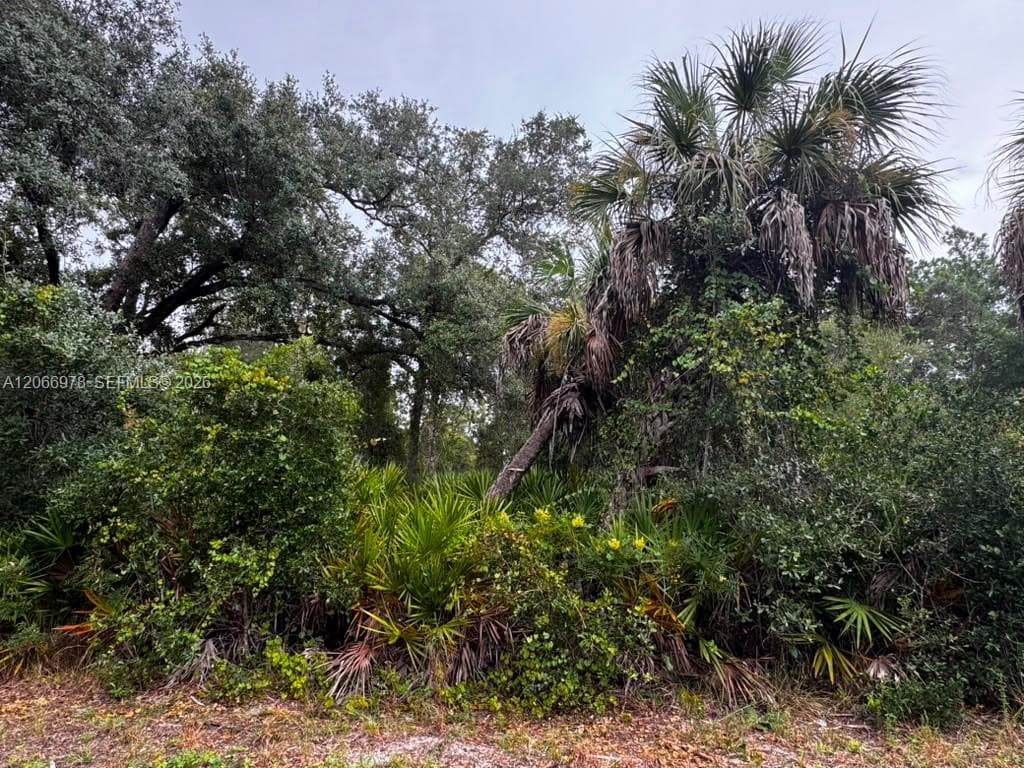 2312 DODGE ST, Port Charlotte, FL 33948 photo 4