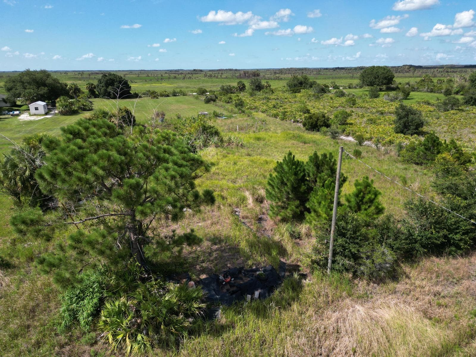 18239 NW 318TH Street, Okeechobee, FL 34972 photo 3