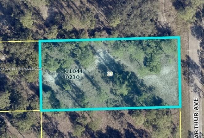2321 Macarthur Ave, Lehigh Acres, FL 33920 photo 2