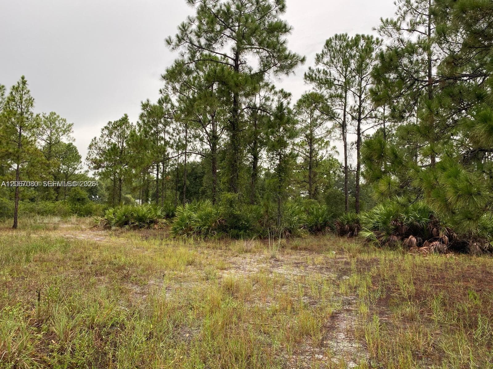 2321 Macarthur Ave, Lehigh Acres, FL 33920 photo 3