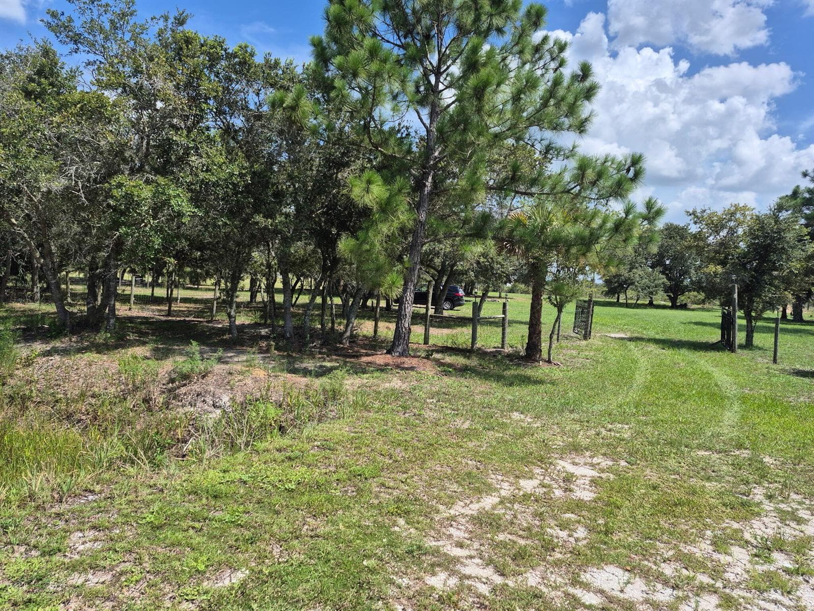 17064 NW 304TH Street, Okeechobee, FL 34972 photo 4
