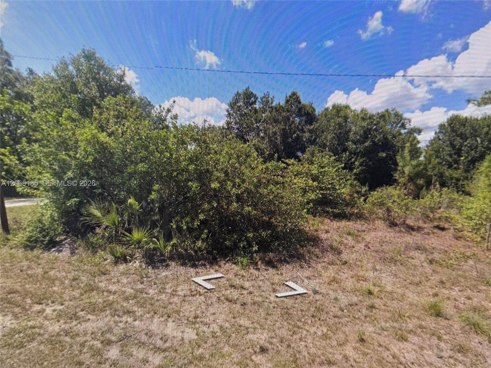 900 Michael Ave, Lehigh Acres, FL 33936 photo 4