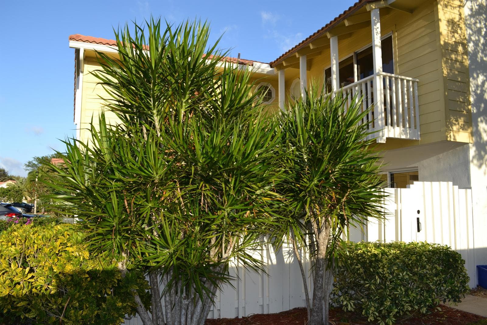 176 Seabreeze Circle, Jupiter, FL 33477 photo 3