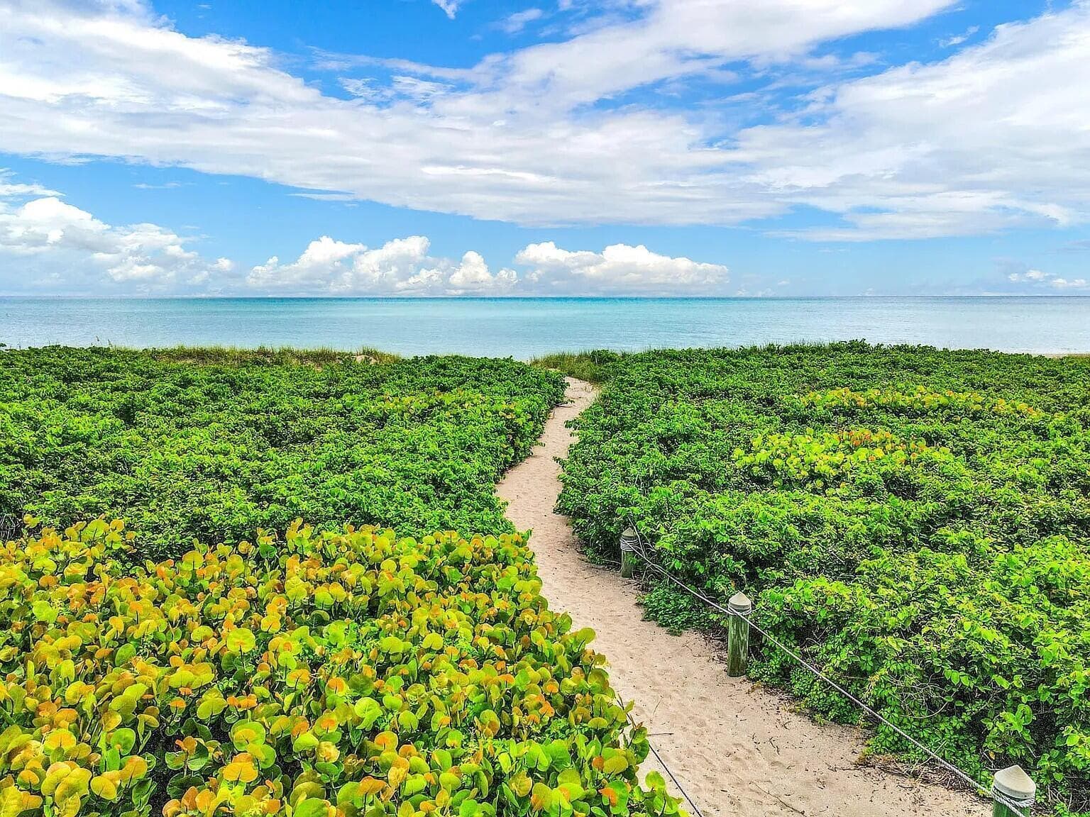 1550 S OCEAN Drive # 15, Fort Pierce, FL 34949 photo 3